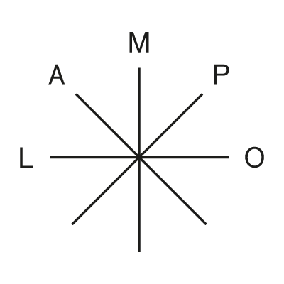 Studio Lampo